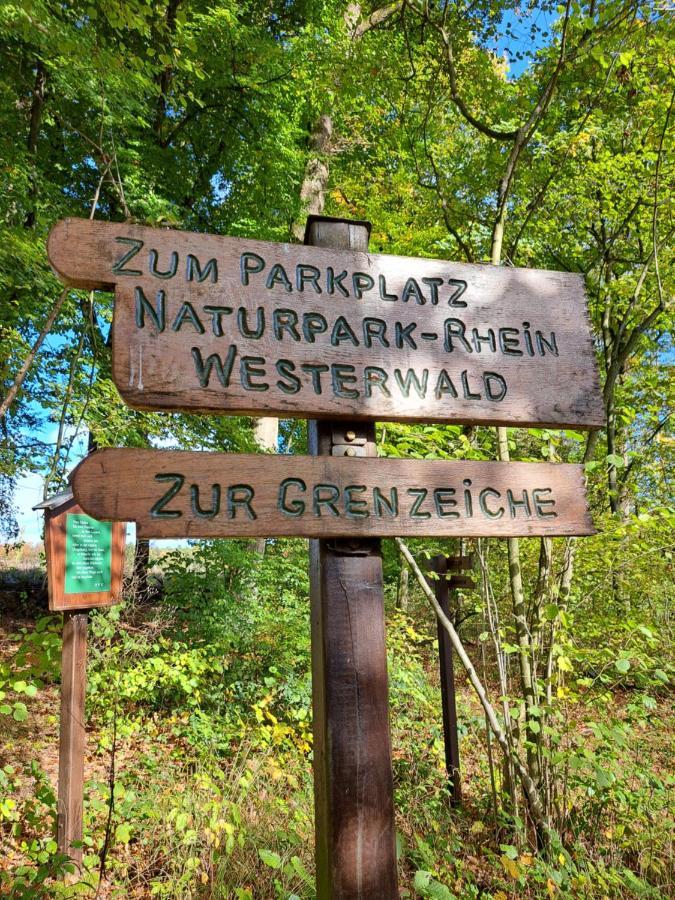 Steewer Gemuetliche Bis 6 Pers In Ruhiger Ortsrandlage Appartement *