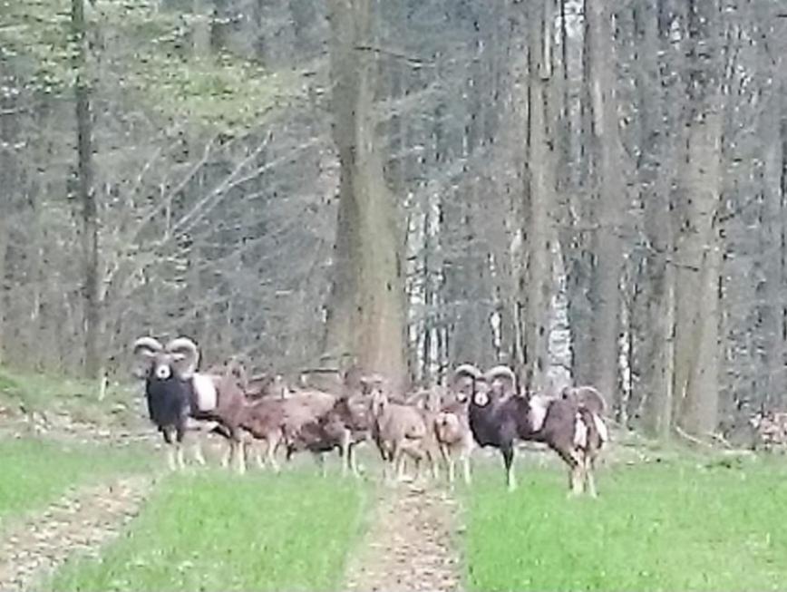 Steewer Gemuetliche Bis 6 Pers In Ruhiger Ortsrandlage