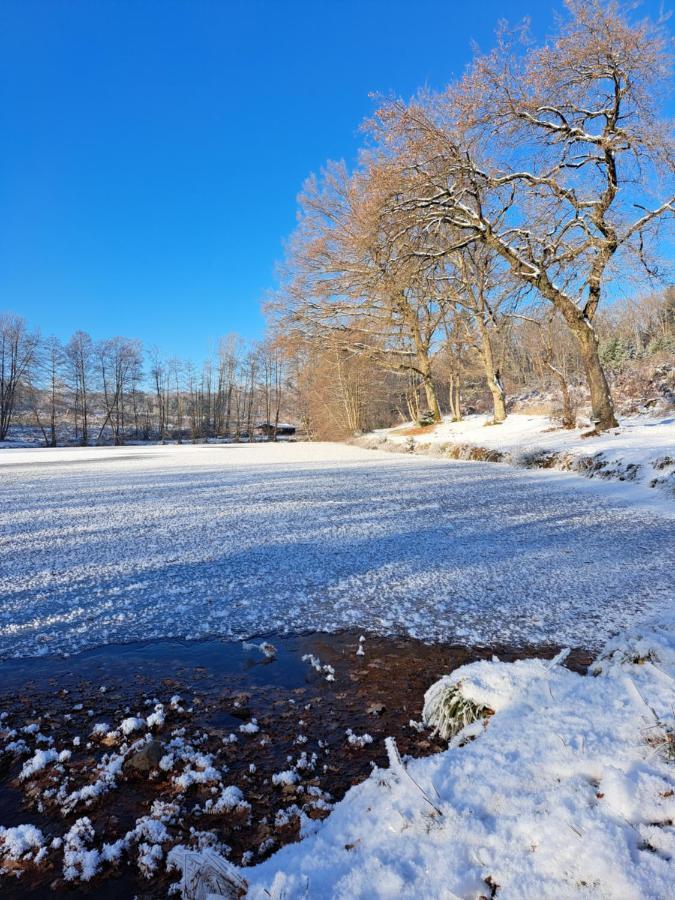 Steewer Gemuetliche Bis 6 Pers In Ruhiger Ortsrandlage