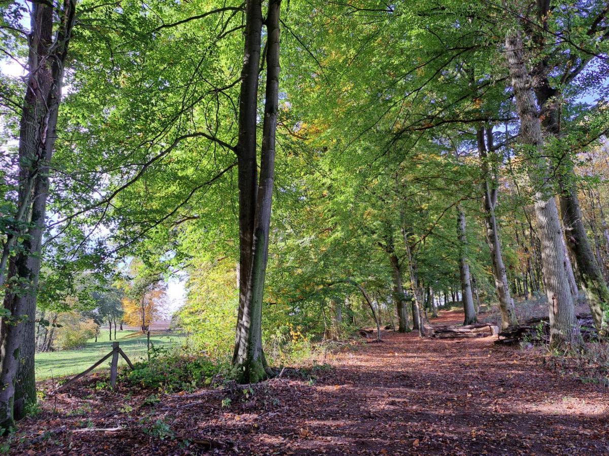 Steewer Gemuetliche Bis 6 Pers In Ruhiger Ortsrandlage * Stebach