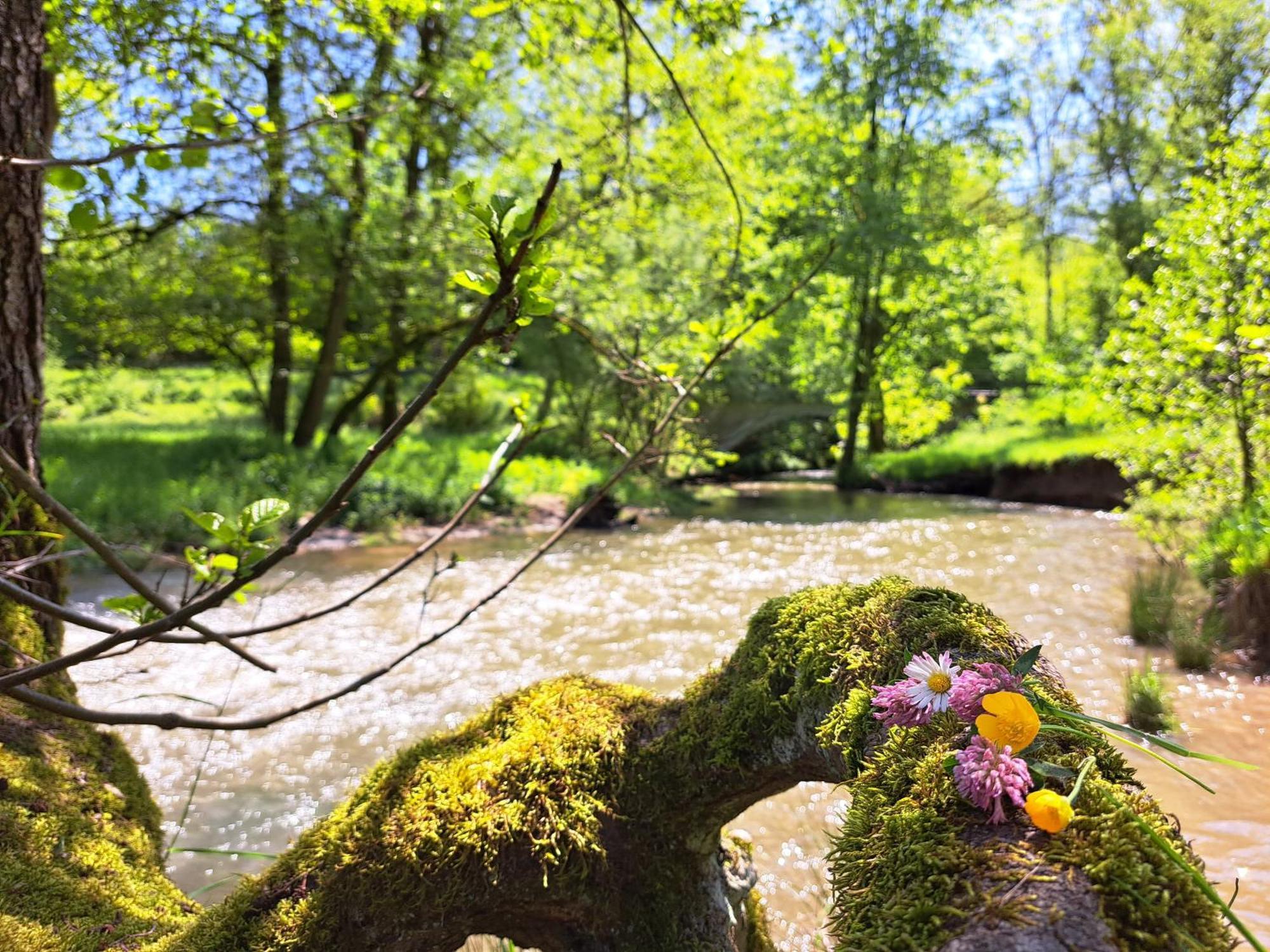 Steewer Gemuetliche Bis 6 Pers In Ruhiger Ortsrandlage